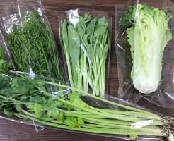 辽宁蔬菜包装袋